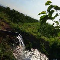 ۲۲۰۰ متر زمین کشاورزی سنددار و ۱۴ ساعت آب در هفته