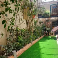 پیروزی/محوی/۶۰متر/تکواحد/۲۰متر حیاط مستقل