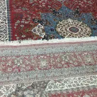 یک جفت ۵۰۰شانه۱۲متری