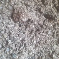 سلام خریدوفروش وجمع آوری کود کبوترخانگی چاهی