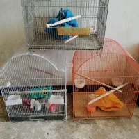 قفس پرنده