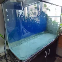 تانگ آکواریوم