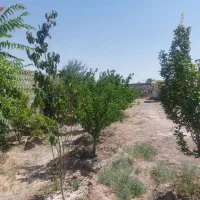 400متر چهاردیواری،درختان میوه  عرب اباد