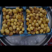 رطب برحی درجه 1