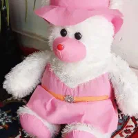 اسباب بازی پسرانه و دخترانه