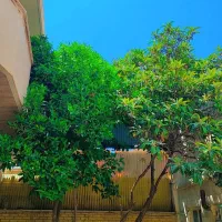فروش-منزل-دو-طبقه-و-یک-سوئیت-مجزا-بلوار-سیبویه