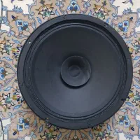 بلندگو فولرنج ایتالیایی B&C
