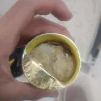 سلام جاندارم ارزان میزنم