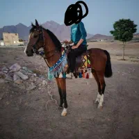 کره نریان شجره دار