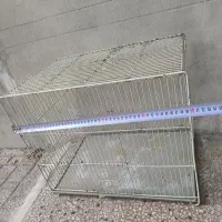 قفس