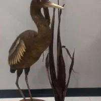 حراج فوق العاده پرنده برنزی