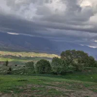 حمل مسافر از آبدانان به تهران ۲/۲۹