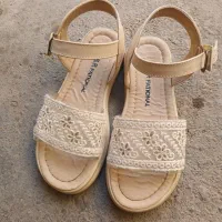 صندل تازه وسالم