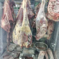 به یک همکار قصاب گوشت نیاز داریم