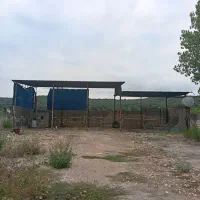 اجاره