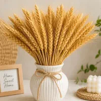 خوشه گندم طبیعی مناسب دکور و هفت سین