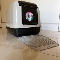 ظرف خاک گربه