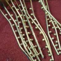 رگال توپی و رگال سیخی