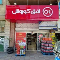نیروی کار درافق کوروش