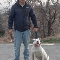 مربی سگ های آپارتمانی و گارد