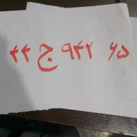 مفقودی پلاک