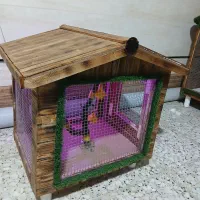 قفس طوطی قناری عروس هلندی