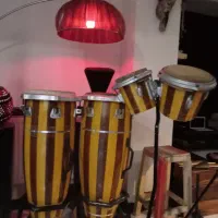 تومبا بینگو بنگو با پایه