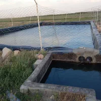 زمین-کشاورزی-در-روستای-خیج-دارای-استخر-اب