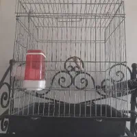 قفس عروس هلندی بزرگ