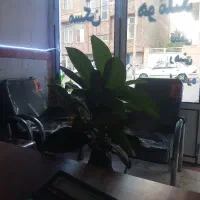 اجاره مغازه ۱۸ متری سبلان فازیک
