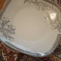 بشقاب ودیس