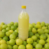 آبلیمو، آبغوره، سرکه سیب،آب نارنج و رب گوجه طبیعی