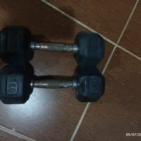 دنبل