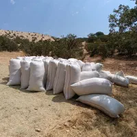 (گـزره)