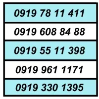 0919.2066863|سیم‌کارت|تهران, توحید|دیوار
