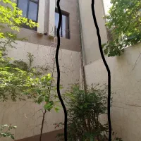 چوب بامبو