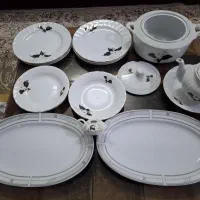 ظروف چینی