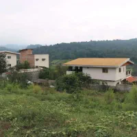 فروش زمین مسکونی در قلب جنگل