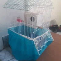 جفت فنج کرباتی