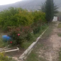 زمین-باغچه