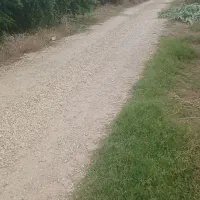 فروش باغچه ۲۰۰ متری و۴۰۰ متری جاده دریا