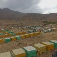 فروش انواع عسل طبیعی