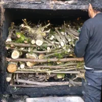 فروش ذغال کبابی چوبین راش