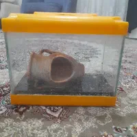 اکواریوم