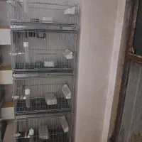 قفس ۴ چهار خوان خان