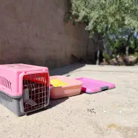 وسایل گربه