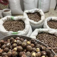 فندق کده معدن فندق