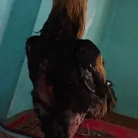 خروس (لاری)