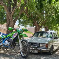 کادیکس ۲۵۰