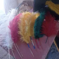 پر علم